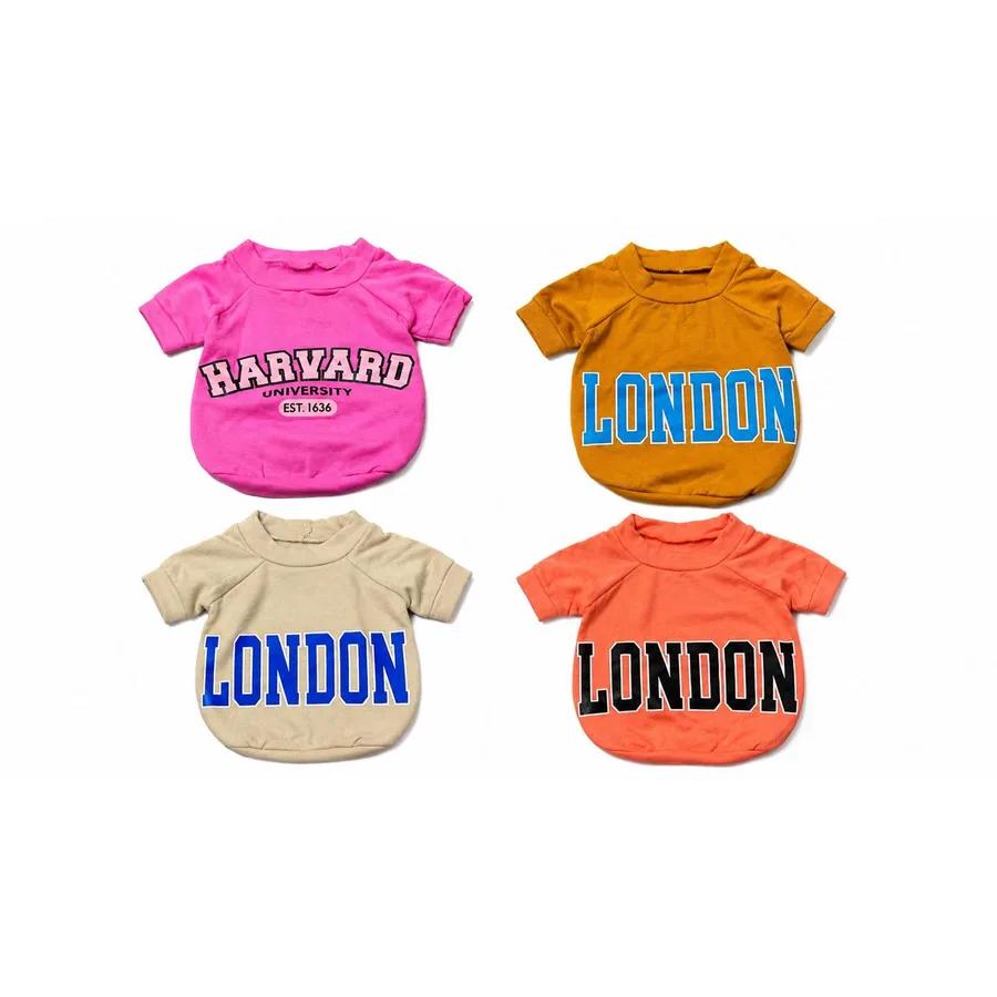 BUZO HARVARD/LONDON