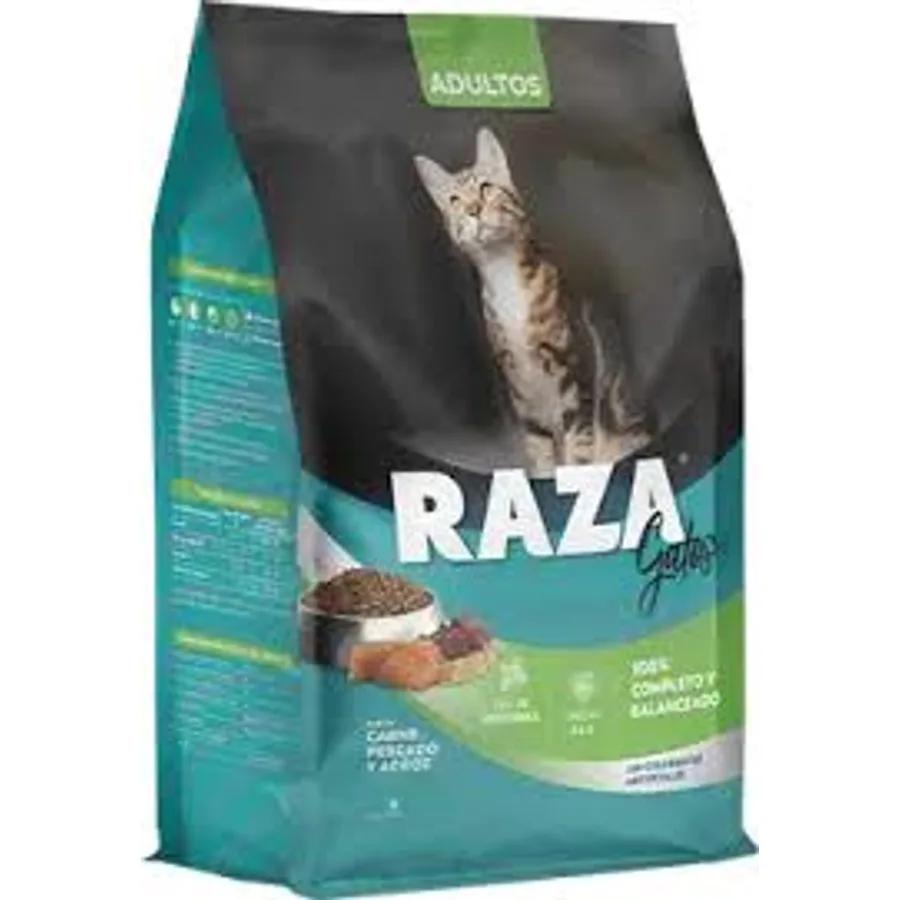 RAZA GATO MIX